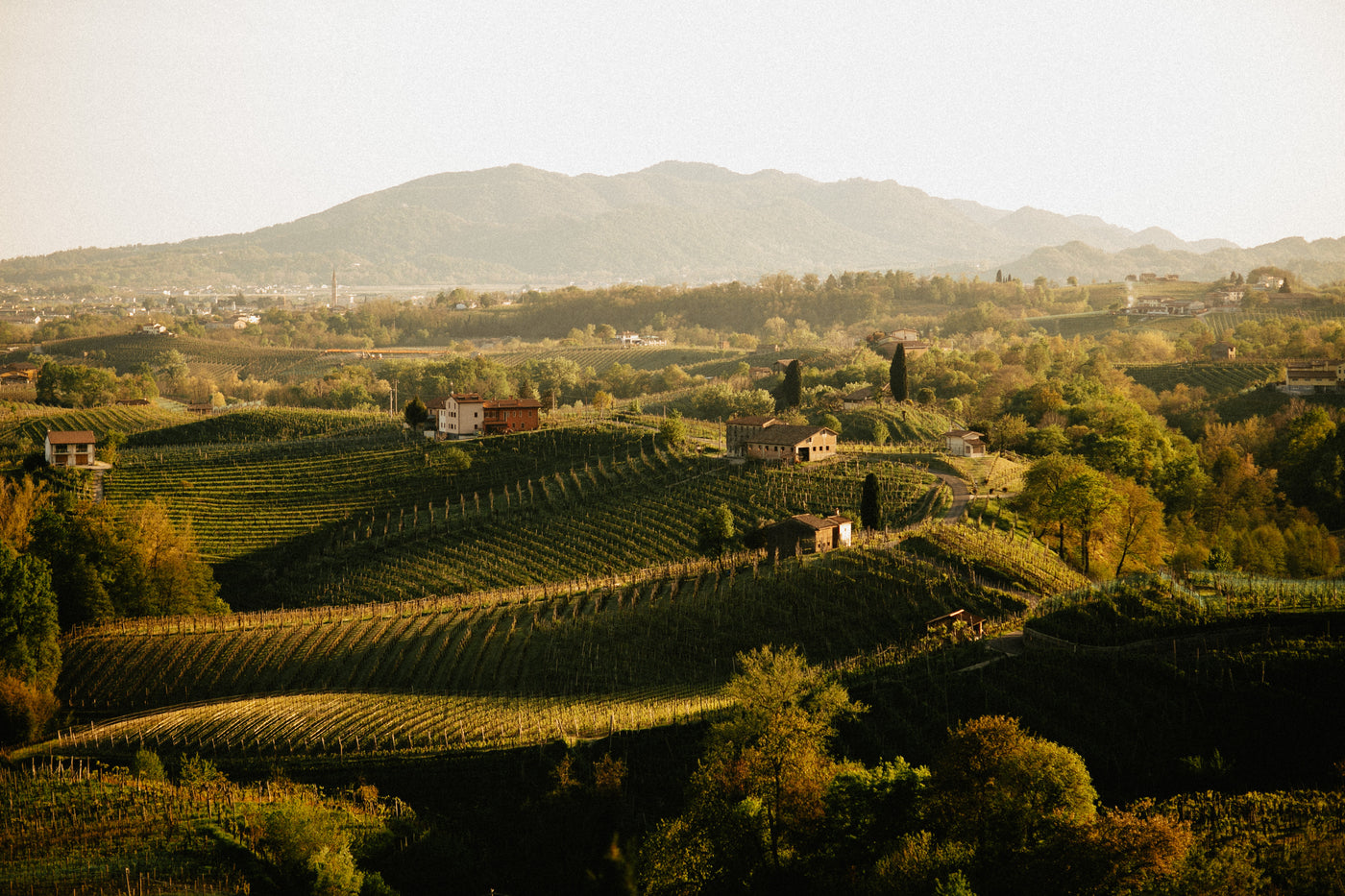 Piemont