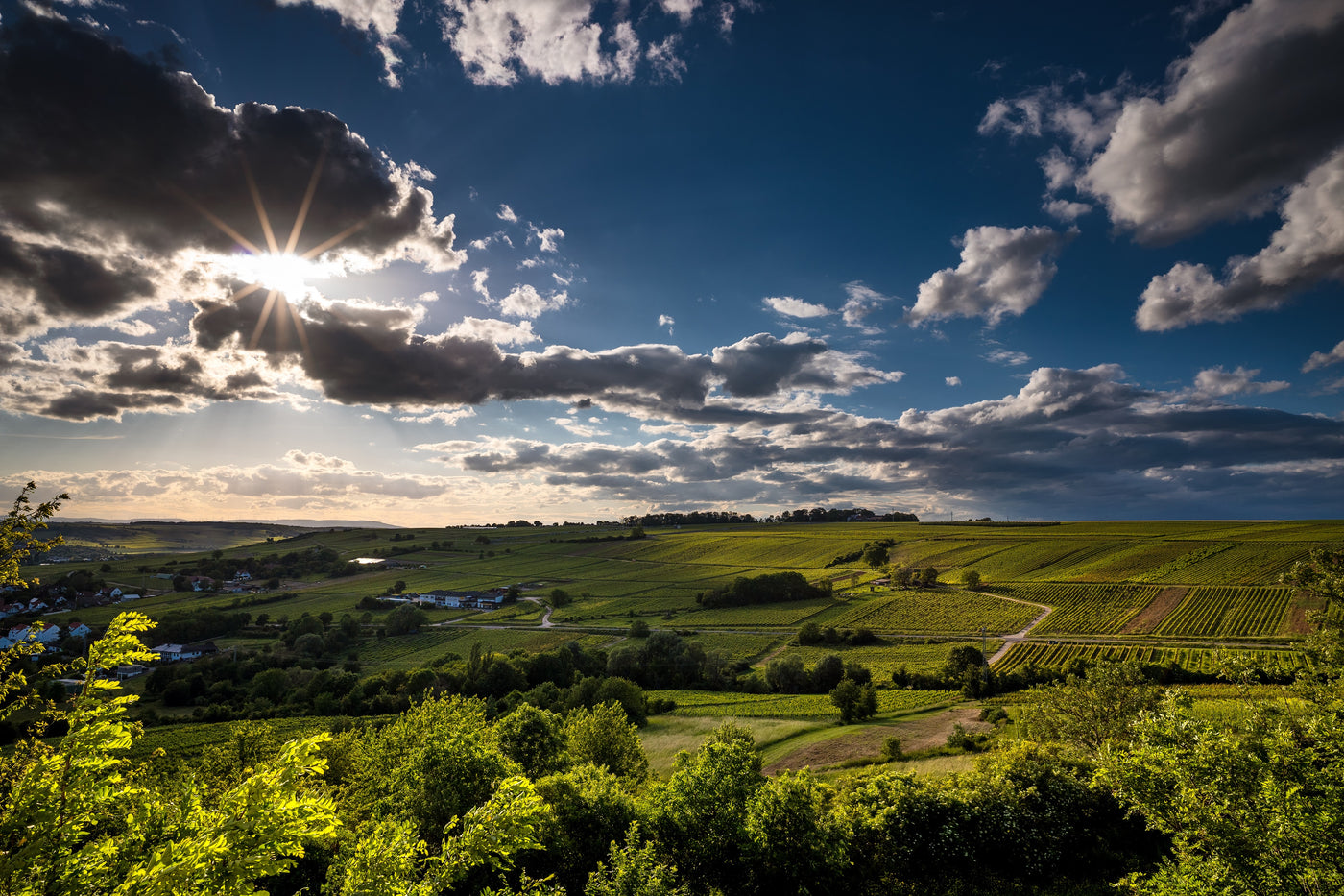 Rheinhessen