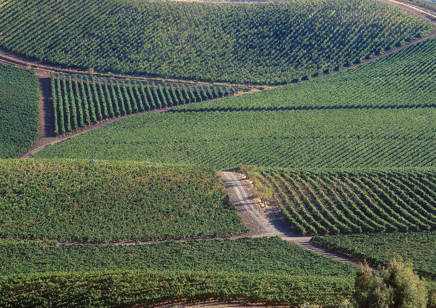 Tasca d'Almerita Tenuta Regaleali